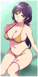 Rule 34 | 1girl, bikini, breasts, closed mouth, commentary request, duke (inu daimyou), gradient background, green background, green eyes, hair ribbon, heart, heart tattoo, large breasts, long hair, looking at viewer, love live!, love live! school idol project, purple hair, red ribbon, ribbon, sitting, smile, solo, swimsuit, tattoo, thigh strap, thighs, tojo nozomi, yellow bikini