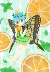 Rule 34 | 1girl, absurdres, animal background, antennae, aqua hair, barefoot, bug, butterfly, butterfly background, butterfly wings, dress, eternity larva, fairy, food, fruit, fruit background, full body, green dress, hair between eyes, highres, holding, holding food, holding fruit, insect, insect wings, leaf, leaf on head, multicolored clothes, multicolored dress, no lineart, open mouth, orange (fruit), orange eyes, short hair, short sleeves, single strap, solo, takano48, touhou, wings