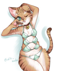 Rule 34 | 1girl, artist request, bra, breasts, cat, extra breasts, female focus, furry, furry female, green eyes, one eye closed, open mouth, panties, solo, underwear, white background