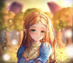 Rule 34 | 1girl, aqua eyes, bad id, bad pixiv id, blonde hair, blurry, blurry background, braid, crying, crying with eyes open, day, gya (144), hair ornament, hairclip, highres, long hair, long sleeves, looking at viewer, nintendo, outdoors, pointy ears, princess zelda, sad, solo, tears, the legend of zelda, the legend of zelda: breath of the wild, upper body, very long hair