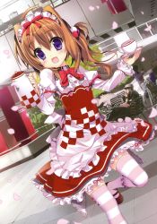 Rule 34 | 1girl, :d, absurdres, brown hair, cup, dress, dutch angle, flat chest, fujima takuya, highres, maid headdress, mary janes, open mouth, petals, pink thighhighs, purple eyes, shoes, smile, striped clothes, striped thighhighs, teacup, teapot, thighhighs, waitress