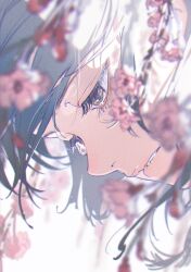Rule 34 | 1girl, absurdres, blurry, blurry background, blurry foreground, branch, brown eyes, cherry blossoms, close-up, eyelashes, film grain, flower, grey hair, highres, looking away, looking down, original, parted lips, pink flower, solo, yoneyama mai