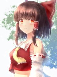 Rule 34 | 1girl, ascot, bare shoulders, bloom, blunt bangs, blush, bow, breasts, bright pupils, brown hair, closed mouth, detached sleeves, expressionless, eyebrows hidden by hair, frilled hair tubes, frilled shirt collar, frills, hair bow, hair tubes, hakurei reimu, long sleeves, looking at viewer, medium breasts, medium hair, midriff, notofuku, red bow, red eyes, red vest, sarashi, simple background, solo, touhou, upper body, vest, yellow ascot
