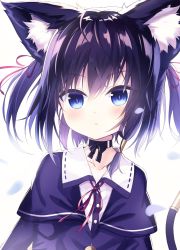 Rule 34 | 1girl, absurdres, animal ear fluff, animal ears, black choker, black hair, blue eyes, blush, buttons, capelet, cat ears, cat tail, choker, closed mouth, collarbone, commentary request, expressionless, floating hair, hair ribbon, hair tubes, highres, kuroneko-chan (satou), original, petals, red ribbon, ribbon, satou (3366 s), short hair, simple background, slit pupils, tail, tail raised, tareme, upper body, white background, wing collar