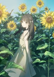 Rule 34 | 1girl, arms behind back, bare shoulders, blue sky, blush, brown eyes, brown hair, closed mouth, dress, flower, hair ribbon, highres, long hair, looking back, original, outdoors, own hands together, ribbon, sako (35s 00), sky, sleeveless, sleeveless dress, smile, solo, standing, sunflower, yellow dress, yellow flower
