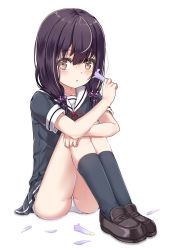 1girl black_serafuku black_shirt black_skirt black_socks blush brown_eyes brown_footwear brown_hair collarbone flower full_body hair_between_eyes hair_bobbles hair_ornament highres holding holding_flower kneehighs loafers looking_at_viewer low_twintails neck_ribbon original panties parted_lips petals pleated_skirt purple_flower red_ribbon ribbon sailor_collar school_uniform serafuku shirt shoes short_sleeves simple_background sitting skirt socks solo twintails underwear white_background white_panties white_ph white_sailor_collar