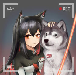 Rule 34 | 1girl, :d, absurdres, animal ear fluff, animal ears, arknights, black hair, breasts, brown eyes, chinese commentary, commentary request, dog, doge, earrings, fang, gradient background, grey background, hair between eyes, highres, jacket, jewelry, long hair, looking at viewer, meme, multicolored hair, open mouth, purple background, recording, red hair, sidelocks, skin fang, small breasts, smile, texas (arknights), upper body, wolf ears, wuudete
