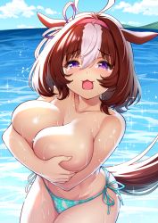 Rule 34 | 1girl, animal ears, aqua bikini, bad id, bad pixiv id, bikini, bikini bottom only, breasts, brown hair, commentary request, covering privates, covering breasts, highres, horse ears, horse girl, horse tail, large breasts, looking at viewer, meisho doto (umamusume), multicolored hair, ocean, open mouth, outdoors, short hair, solo, streaked hair, summer, swimsuit, tail, takurowo, tears, topless, umamusume, white hair