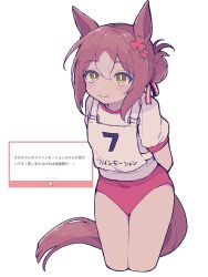 Rule 34 | 1girl, animal ears, arms behind back, blush stickers, brown eyes, brown hair, buruma, closed mouth, commentary request, cropped legs, fine motion (umamusume), gym shirt, gym uniform, hair between eyes, hair bun, highres, horse ears, horse girl, horse tail, multicolored hair, original race uniform (umamusume), puffy short sleeves, puffy sleeves, red buruma, rjsn, shirt, short sleeves, simple background, smile, solo, tail, translation request, two-tone hair, umamusume, white background, white hair, white shirt