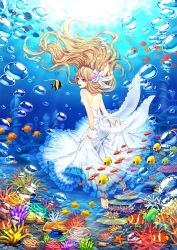 Rule 34 | 1girl, air bubble, angelfish, back, backless dress, backless outfit, bare back, bare shoulders, barefoot, blonde hair, blue eyes, bubble, caustics, clownfish, coral, coral reef, dress, fish, floating hair, freediving, frilled dress, frills, from behind, hair ornament, kiritani846, long dress, long hair, looking away, looking back, moorish idol, seafloor, open mouth, original, sash, school of fish, skirt hold, smile, solo, strapless, strapless dress, surgeonfish, tropical fish, underwater, underwater city, white dress