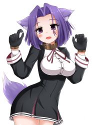 Rule 34 | 1girl, animal ears, black gloves, blush, breasts, collar, dog ears, dog tail, fang, frozenpile, gloves, highres, kantai collection, large breasts, long sleeves, looking at viewer, mole, mole under eye, open mouth, purple eyes, purple hair, smile, solo, tail, tatsuta (kancolle)