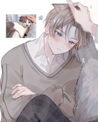 1boy 1other absurdres anger_vein animal_ears aoru_uu bishounen blue_eyes blush brown_hair brown_sweater cat_boy cat_ears closed_mouth collared_shirt commentary_request headpat highres long_sleeves male_focus motion_lines original personification photo_inset shirt short_hair signature sweatdrop sweater white_background white_shirt