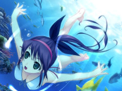 Rule 34 | 1girl, :d, barefoot, blue hair, breasts, cleavage, feet, fish, freediving, game cg, green eyes, hairband, long hair, murakami suigun, open mouth, oriyama nayuri, ponytail, silvery white, smile, soles, solo, swimming, swimsuit, toes, underwater, water