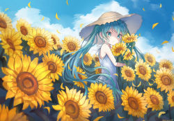 Rule 34 | 1girl, aqua eyes, aqua hair, artist name, blue sky, brown hat, cloud, commentary request, day, dress, field, flower, hat, hatsune miku, holding, holding flower, long hair, looking at viewer, noneon319, outdoors, parted lips, petals, sky, sleeveless, sleeveless dress, solo, straw hat, sunflower, sunflower petals, twintails, upper body, vocaloid, white dress