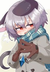 Rule 34 | 1girl, absurdres, alternate costume, animal ears, blue scarf, blush, brown gloves, coat, crystal, flying sweatdrops, gloves, grey coat, grey hair, highres, jewelry, long sleeves, looking at viewer, mouse ears, mouse girl, mouse tail, nazrin, open mouth, own hands together, pendant, red eyes, scarf, short hair, simple background, solo, sweatdrop, tail, touhou, upper body, white background, yayuyoyayuyo