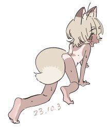 Rule 34 | 1girl, all fours, animal ears, barefoot, bouen, brown eyes, completely nude, dated, fox ears, fox girl, fox tail, full body, grey hair, highres, looking at viewer, looking back, nude, one-piece tan, open mouth, original, short hair, simple background, sketch, soles, solo, tail, tan, tanline, wet, white background