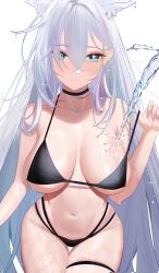 Rule 34 | 1girl, absurdres, animal ears, aqua eyes, bare shoulders, bikini, black bikini, black choker, blue archive, blush, breasts, cherrymaru, choker, cleavage, closed mouth, collarbone, cowboy shot, extra ears, grey hair, highres, large breasts, long hair, looking at viewer, shiroko (blue archive), shiroko terror (blue archive), simple background, skindentation, solo, strap slip, swimsuit, thigh gap, thigh strap, very long hair, water, wet, white background, wolf ears