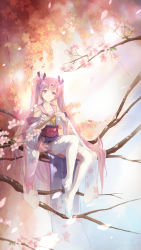 Rule 34 | 1girl, black ribbon, brown eyes, bzerox, day, flower, full body, hair flower, hair ornament, hair ribbon, hatsune miku, highres, holding, in tree, japanese clothes, kimono, long hair, looking at viewer, miniskirt, outdoors, petals, pink flower, pink hair, pink skirt, pleated skirt, ribbon, sakura miku, sitting, skirt, smile, solo, thighhighs, tree, twintails, very long hair, vocaloid, white thighhighs, yellow flower