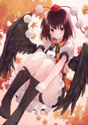 Rule 34 | 1girl, :o, absurdres, bad id, bad twitter id, bird wings, black neckwear, black panties, black pantyhose, black ribbon, black skirt, black wings, blush, breasts, brown hair, closed mouth, clothes pull, collared shirt, feet, floating, gradient background, hat, highres, leaf, leaf background, leaf print, looking at viewer, maple leaf print, medium breasts, medium hair, no shoes, panties, pantyhose, pantyhose pull, petticoat, pink background, pom pom (clothes), puffy short sleeves, puffy sleeves, ramie (ramie541), red hat, ribbon, shameimaru aya, shirt, short sleeves, simple background, skirt, solo, tokin hat, touhou, underwear, upskirt, white shirt, wings