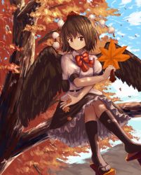 Rule 34 | 1girl, bad id, bad pixiv id, black hair, black skirt, black wings, commentary, frilled skirt, frills, geta, hand fan, hat, highres, holding, in tree, leaf, looking at viewer, maple leaf, necktie, ookashippo, paper fan, pom pom (clothes), red necktie, shameimaru aya, shirt, short hair, short sleeves, sitting, sitting in tree, skirt, smile, solo, tengu-geta, thighhighs, tokin hat, touhou, tree, uchiwa, white shirt, wings