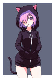 Rule 34 | 1girl, alternate costume, animal ears, blush, cat ears, cat tail, cowboy shot, drawstring, fate/grand order, fate (series), grey background, hair over one eye, hands in pocket, head tilt, highres, hood, hood up, hoodie, kemonomimi mode, legs apart, long sleeves, looking at viewer, mash kyrielight, mouth hold, no pants, pink hair, profnote, purple eyes, short hair, simple background, solo, standing, tail, thighs