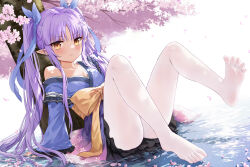 Rule 34 | 1girl, :&lt;, absurdres, against tree, arm support, black skirt, blue ribbon, bow, breasts, cherry blossoms, closed mouth, devil heavens, falling petals, feet, hair ribbon, highres, japanese clothes, kyoka (princess connect!), leaning back, legs up, long hair, looking at viewer, no shoes, off shoulder, pantyhose, petals, petals on liquid, pointy ears, princess connect!, purple hair, ribbon, sidelocks, single bare shoulder, sitting, skirt, small breasts, soles, solo, spread toes, toes, tree, twintails, white pantyhose, yellow bow, yellow eyes