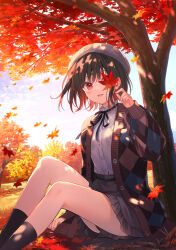 Rule 34 | 1girl, ankle socks, artist name, autumn, autumn leaves, black ribbon, black socks, blush, brown hair, cardigan, commentary request, dappled sunlight, day, falling leaves, fukahire (ruinon), highres, holding, holding leaf, leaf, long sleeves, looking at viewer, maple leaf, maple tree, neck ribbon, one eye covered, open cardigan, open clothes, original, outdoors, parted lips, plaid cardigan, puffy long sleeves, puffy sleeves, red eyes, ribbon, shirt, shirt tucked in, sitting, socks, solo, sunlight, thighs, tree, under tree, white headwear, white shirt