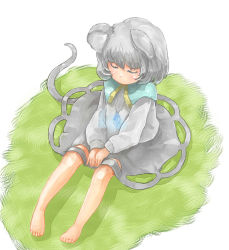 Rule 34 | 1girl, animal ears, barefoot, closed eyes, female focus, full body, grey hair, jewelry, ma nyan (nyao mao nyao), mouse ears, mouse tail, nazrin, pendant, plant, short hair, sitting, skirt, solo, tail, touhou, white background