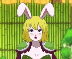 Rule 34 | :3, absurdres, ahegao, animal nose, armor, blonde hair, blush, breasts, brown eyes, carrot (one piece), collarbone, espiralsix, furry, furry female, heart, heart-shaped pupils, highres, medium breasts, one piece, open mouth, paid reward available, portrait, rabbit girl, rabbit tail, rolling eyes, short hair, shoulder armor, symbol-shaped pupils