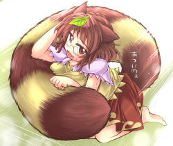 Rule 34 | 1girl, animal ears, barefoot, blush, brown eyes, brown hair, fang, futatsuiwa mamizou, glasses, holding, holding with tail, leaf, leaf on head, looking at viewer, mumumu, object on head, open mouth, pince-nez, prehensile tail, raccoon ears, raccoon tail, shirt, skirt, solo, sweat, tail, tail wrap, tanuki, touhou