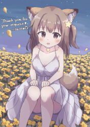 Rule 34 | 1girl, absurdres, animal ears, bare shoulders, brown eyes, brown hair, choker, collarbone, colon br, commission, dress, evening gown, feet out of frame, field, flower, fox ears, fox girl, fox tail, hair ornament, highres, knees together feet apart, knees up, long hair, looking at viewer, night, night sky, one side up, original, outdoors, sidelocks, sitting, skeb commission, sky, sleeveless, sleeveless dress, solo, star (symbol), star choker, star hair ornament, straight-on, tail, white choker, white dress, yellow flower