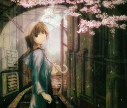 Rule 34 | 1girl, bad id, bad pixiv id, brown eyes, brown hair, cherry blossoms, female focus, looking back, nature, outdoors, petals, plant, rain, see-through, short hair, solo, stairs, transparent, transparent umbrella, umbrella, yoshidaworks