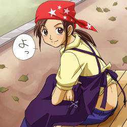 00s 1girl apron bandana blush brown_eyes brown_hair butt_crack female_focus fujita_akane futari_wa_precure leaf looking_at_viewer lowres precure sitting solo