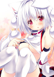 Rule 34 | 1girl, animal ears, bare shoulders, blush, breasts, cleavage, detached sleeves, hikanyan, inubashiri momiji, looking at viewer, medium breasts, open mouth, pom pom (clothes), red eyes, short hair, silver hair, solo, tail, thighhighs, touhou, underboob, white thighhighs, wide sleeves, wolf ears, wolf tail