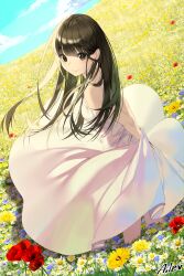 Rule 34 | 1girl, absurdres, aile (crossroads), arms behind back, bare arms, bare shoulders, black eyes, black hair, blue flower, breasts, closed mouth, commentary request, dress, field, flower, flower field, highres, long hair, looking at viewer, looking to the side, original, red flower, signature, sleeveless, sleeveless dress, small breasts, smile, solo, standing, very long hair, white dress, white flower, yellow flower