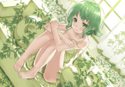 Rule 34 | 1girl, bad id, bad pixiv id, barefoot, blush, collarbone, couch, curtains, dress, dutch angle, feet, feet on chair, green eyes, green hair, green theme, gumi, heirou, leaf, looking at viewer, matching hair/eyes, plant, short hair, sitting, solo, strap slip, sunlight, toes, vines, vocaloid, window