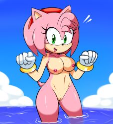 Rule 34 | 1girl, amy rose, beach, cleft of venus, duplichance, nude, pussy, tagme