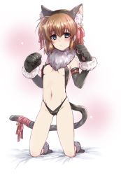 Rule 34 | 1girl, animal ears, animal hands, bed sheet, bikini, black bikini, black footwear, black gloves, blue eyes, bow, breasts, brown hair, cat tail, closed mouth, commentary request, elbow gloves, expressionless, fake animal ears, fake tail, frown, full body, fur collar, gloves, groin, kneeling, kuroi mimei, looking at viewer, lyrical nanoha, mahou shoujo lyrical nanoha, mahou shoujo lyrical nanoha a&#039;s, mahou shoujo lyrical nanoha a&#039;s portable: the battle of aces, stern the destructor, medium hair, navel, official alternate costume, on bed, paw gloves, paw shoes, red ribbon, ribbon, small breasts, swimsuit, tail, tail bow, tail ornament, tail ribbon