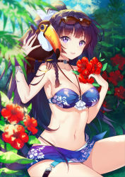Rule 34 | 1girl, :d, absurdres, animal, bad id, bad pixiv id, bare shoulders, benghuai xueyuan, bikini, black choker, blue bikini, blurry, blurry foreground, blush, bow, breasts, choker, cleavage, collarbone, commentary request, day, depth of field, eyewear on head, flower, grass, hair bow, halterneck, high ponytail, highres, honkai (series), long hair, looking at viewer, manle, medium breasts, navel, on grass, open mouth, original, outdoors, ponytail, purple eyes, purple hair, raiden mei, red flower, sidelocks, sitting, smile, solo, sunglasses, swimsuit, teeth, upper teeth only, very long hair, white bow