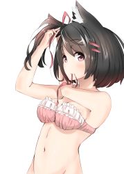 Rule 34 | 1girl, a:n (angrynum), adjusting hair, animal ears, bad id, bad pixiv id, black hair, bra, breasts, fox ears, frilled bra, frills, hair ornament, hairclip, highres, looking at viewer, mouth hold, original, purple eyes, ribbon, short hair, simple background, solo, strapless, strapless bra, tying hair, underwear, upper body, white background