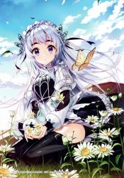 Rule 34 | 10s, 1girl, absurdres, bug, butterfly, chaika trabant, character name, cloud, coffin, copyright name, daisy, day, eyebrows, flower, full body, grass, hairband, highres, hitsugi no chaika, insect, lolita hairband, looking at viewer, outdoors, parted lips, plant, purple eyes, salt (salty), silver hair, sitting, sky, solo, thick eyebrows, thighhighs, wariza, watermark
