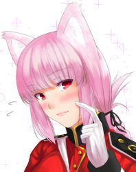 Rule 34 | amatlas, animal ears, blush, braid, cat ears, fate/grand order, fate (series), florence nightingale (fate), gloves, looking at viewer, military, military uniform, pink hair, red eyes, single braid, solo, uniform