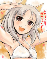 Rule 34 | 10s, 1girl, :d, animal ears, blush, bra, brave witches, breasts, brown eyes, cleavage, collarbone, edytha rossmann, covered erect nipples, fox ears, heart, highres, mishiro shinza, open mouth, short hair, silver hair, small breasts, smile, solo, strike witches, translated, underwear, white bra, world witches series