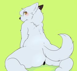 Rule 34 | 1girl, censored, flat color, furry, furry female, powderkona, pussy, simple background, solo, wolf, yellow eyes