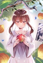 Rule 34 | 1girl, apple, branch, breasts, brown hair, commentary request, crying, dress, falling petals, food, fruit, fumishichi, highres, holding, holding food, holding fruit, large breasts, long dress, original, petals, red eyes, short hair with long locks, smile, snake, solo, streaming tears, teardrop, tears, upper body, white dress, wide sleeves, x-ray film