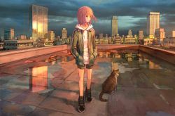 Rule 34 | 1girl, cat, cityscape, commentary, hands in pockets, highres, hood, hoodie, looking to the side, orange hair, original, outdoors, reflection, rooftop, scenery, short hair, short shorts, shorts, sunset, tokunaga akimasa, wet ground