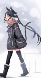 Rule 34 | 1girl, animal ears, black hair, black thighhighs, blush, boots, cat ears, cat tail, coat, fu-ta, hand in pocket, long hair, open mouth, original, scarf, solo, tail, teeth, thighhighs, twintails, winter clothes, winter coat