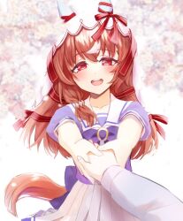 Rule 34 | 1girl, animal ears, blurry, blurry background, blush, breasts, collarbone, commentary request, hair between eyes, hair ornament, holding hands, horse ears, horse tail, looking at viewer, nakichi n, pov, pov hands, red eyes, ribbon, school uniform, small breasts, solo, still in love (umamusume), tail, teeth, tracen school uniform, umamusume, upper teeth only, veil