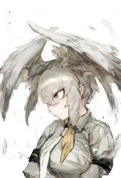 Rule 34 | 10s, 1girl, absurdres, breast pocket, closed mouth, collared jacket, from side, grey jacket, grey necktie, hair between eyes, head wings, highres, hiranko, jacket, kemono friends, layered sleeves, long hair, long sleeves, necktie, pocket, shoebill (kemono friends), short over long sleeves, short sleeves, side ponytail, silver hair, solo, upper body, wings, yellow eyes