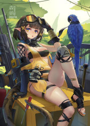 Rule 34 | 1girl, arknights, arm support, arm up, artist name, bandaid, bandaid on leg, bandeau, bare legs, bare shoulders, bird, black gloves, black hair, black panties, blue eyes, blue nails, breasts, cleavage, commentary request, dress, eunectes (arknights), flower, glasses, gloves, goggles, goggles on head, hair flower, hair ornament, highres, knee pads, knee up, looking at viewer, medium breasts, midriff, multicolored eyes, nail polish, open mouth, panties, parrot, pointy ears, revision, sandals, screwdriver, see-through, short hair, sidelocks, sima naoteng, single knee pad, sitting, snake tail, strapless, tail, thigh strap, thighs, toenail polish, toenails, tube top, underwear, yellow dress, yellow eyes